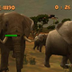 Image for article titled In This Week's Nintendo Download, Meet the Majestic Animals of Africa. Then Shoot Them.